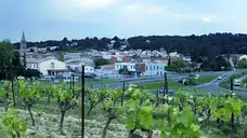 Villemoustaussou - Vignes - © Jcb-caz-11 - 2022-05-03