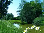 Marsac-sur-l'Isle - CanalLaRoche - © Dgp.martin - 2008-05-13