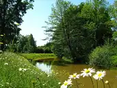 Marsac-sur-l'Isle - Canal de La Roche - © Dgp.martin - 2008-05-13 Marsac-sur-l'Isle - Canal de La Roche - © Dgp.martin - 2008-05-13