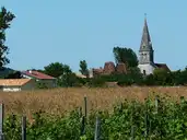 Trélissac - Antonne - © Père Igor - 2008-06-21 Trélissac - Antonne - © Père Igor - 2008-06-21