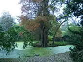 Chartres - Bras de l'Eure et île aux cyprès chauves du jardin d'horticulture - © Le Passant - 2022-10-28