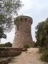 Pietrosella - Torra di l'Isuledda Pietrosella - Torra di l'Isuledda