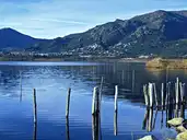 Biguglia - Etang - © Pierre Bona - 2009-12-10