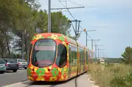 Montpellier - Alstom Citadis 302 n°2050 TAM Jacou - © Florian Fèvre - 2014-07-19