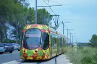 Montpellier - Alstom Citadis 302 n°2050 TAM Jacou - © Florian Fèvre - 2014-07-19