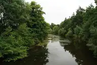 Rives de l'Yon - Yon au pont de Chaillé - © d’Éduarel - 2017-07-08 Rives de l'Yon - Yon au pont de Chaillé - © d’Éduarel - 2017-07-08